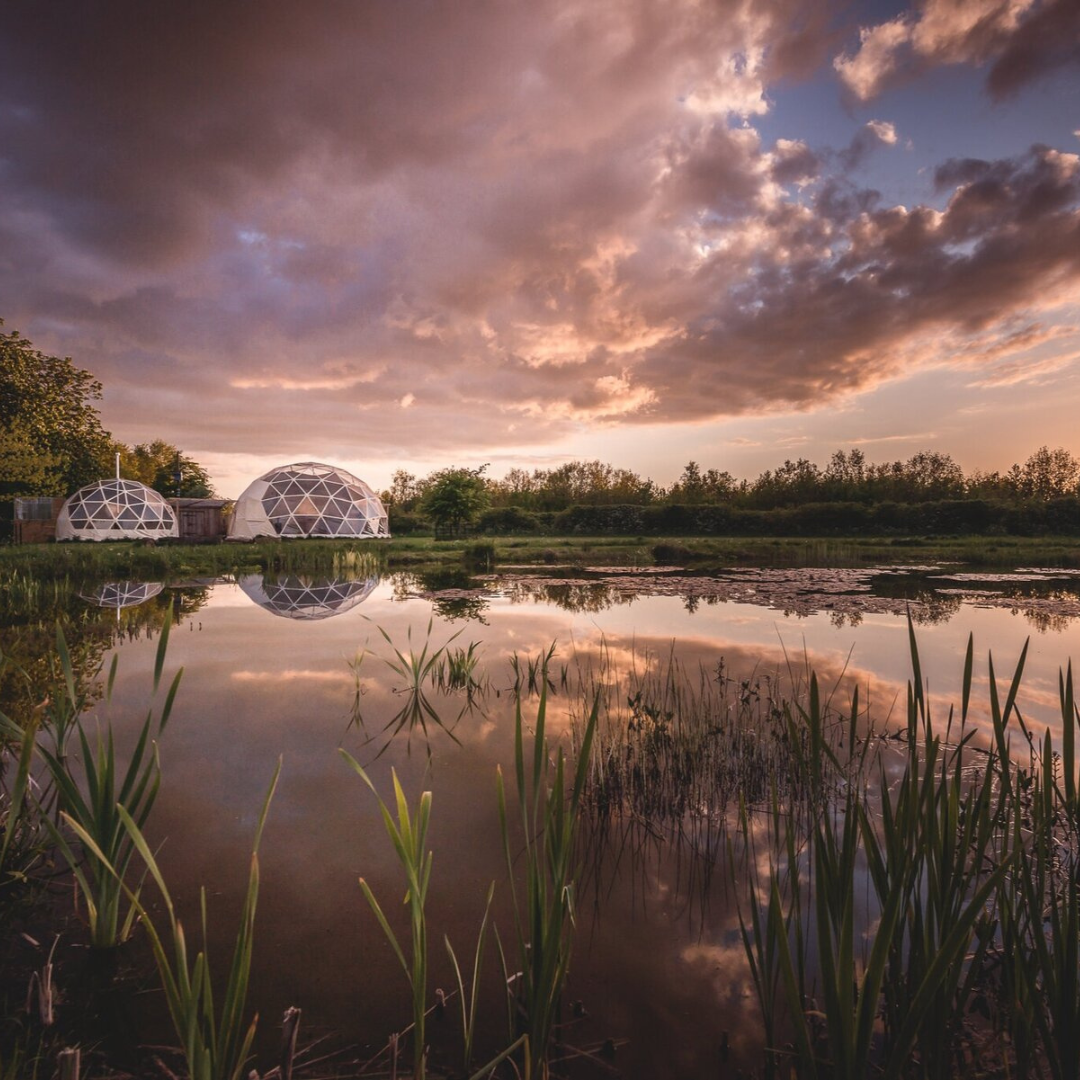 Workshop  |  Back To Nature pt 2 (Purusha)
